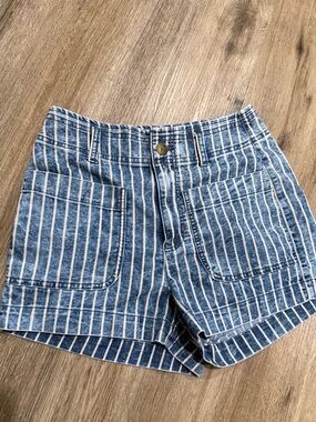 American Eagle Outfitters Blue and White Tan Striped Denim Shorts